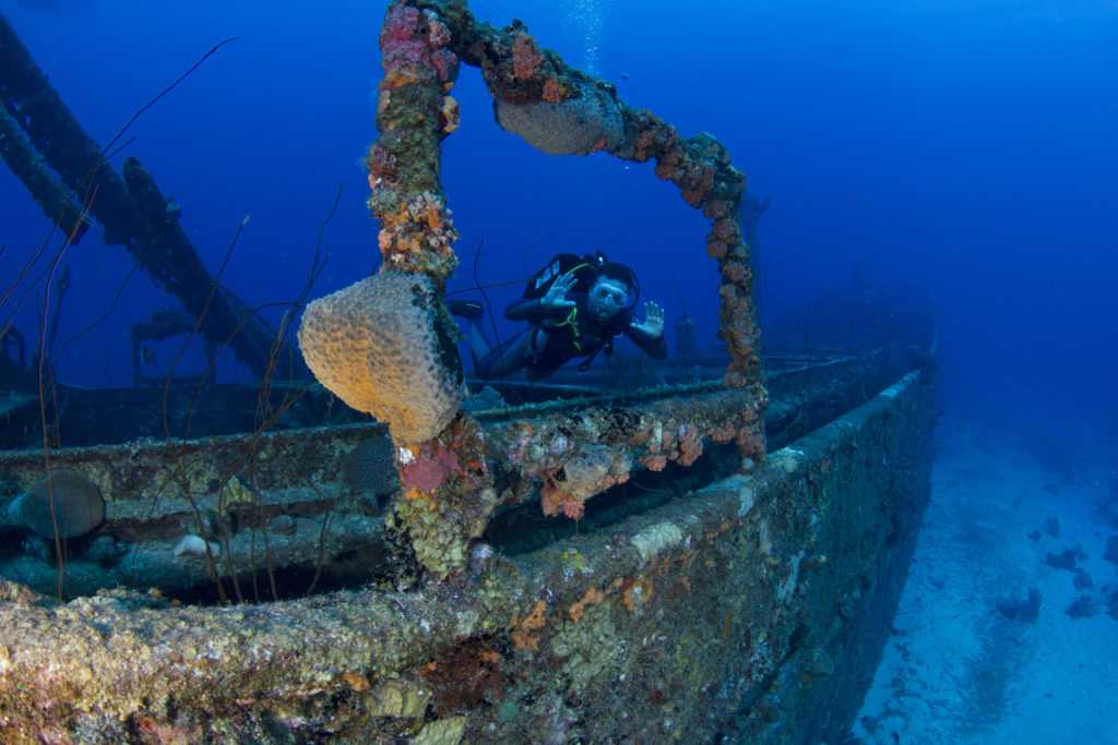 Make a splash at the Curaçao International Dive Festival | Toronto ...