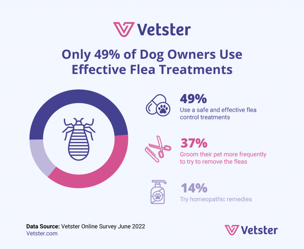 What will you do if your dog has fleas?