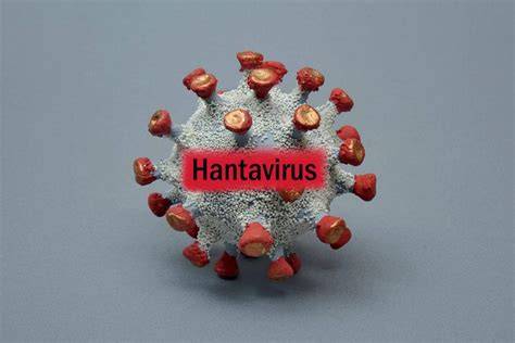 WHO Declares Hantavirus Outbreak Officially Over