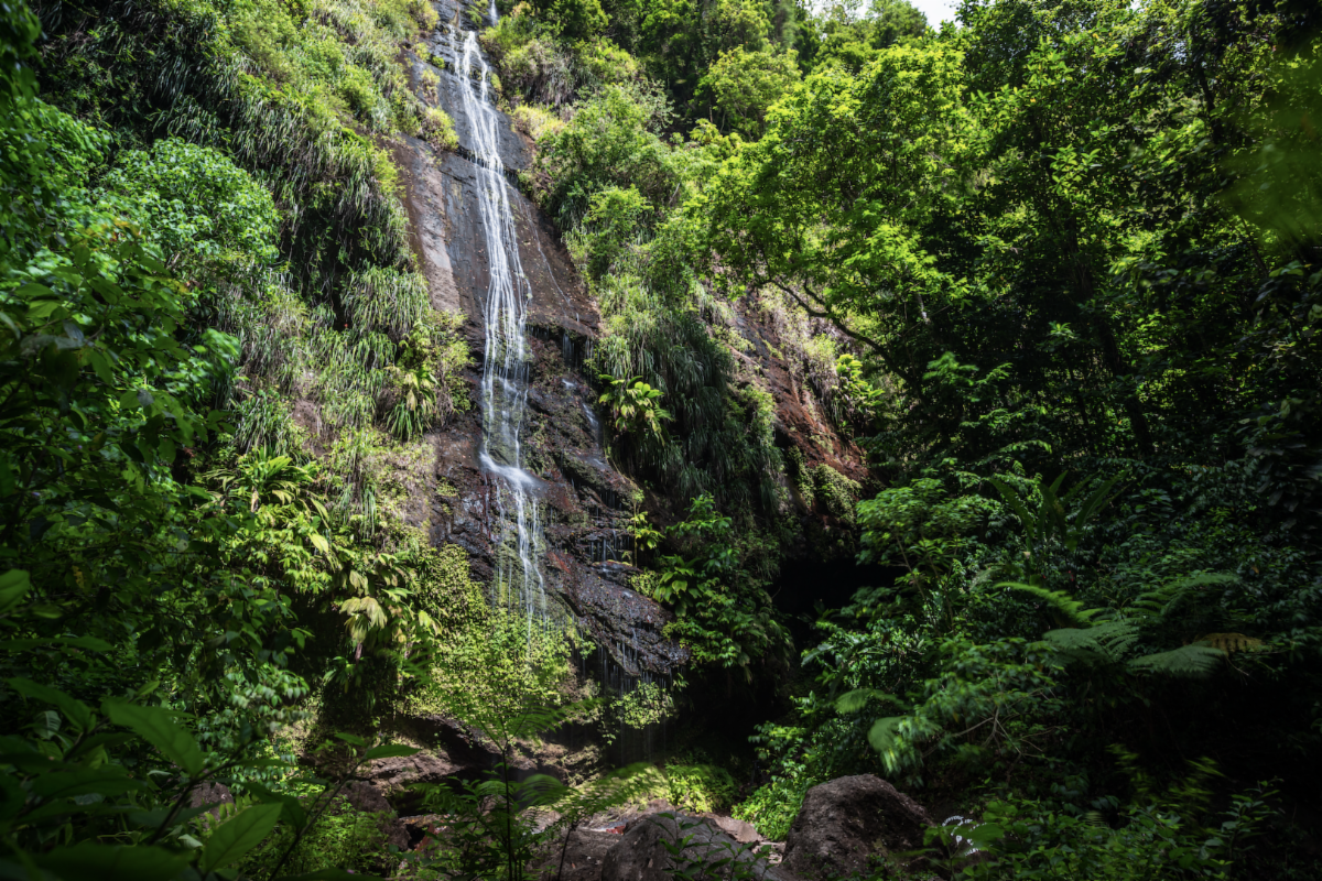 Caribbean Explorers Discover Martinique’s Hidden Wonders